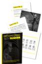 Entscheidung Erfolg cover